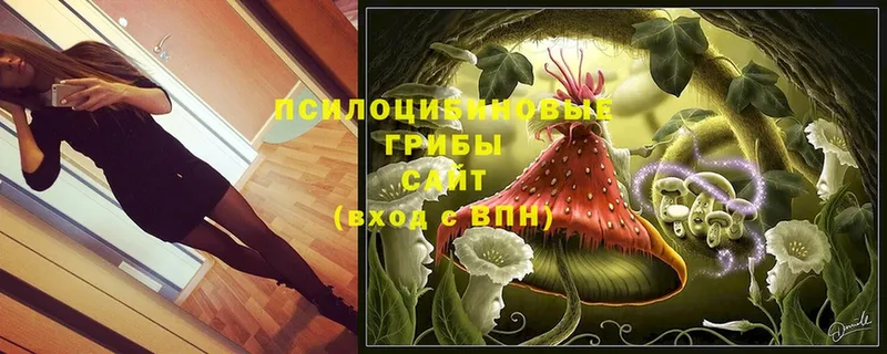 Галлюциногенные грибы GOLDEN TEACHER  Неман 